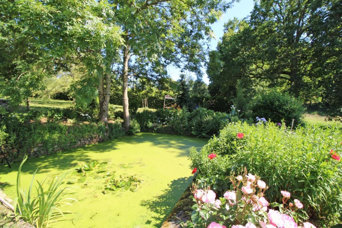 Chez Le Bayle Villa Condat-sur-Vienne Dış mekan fotoğraf